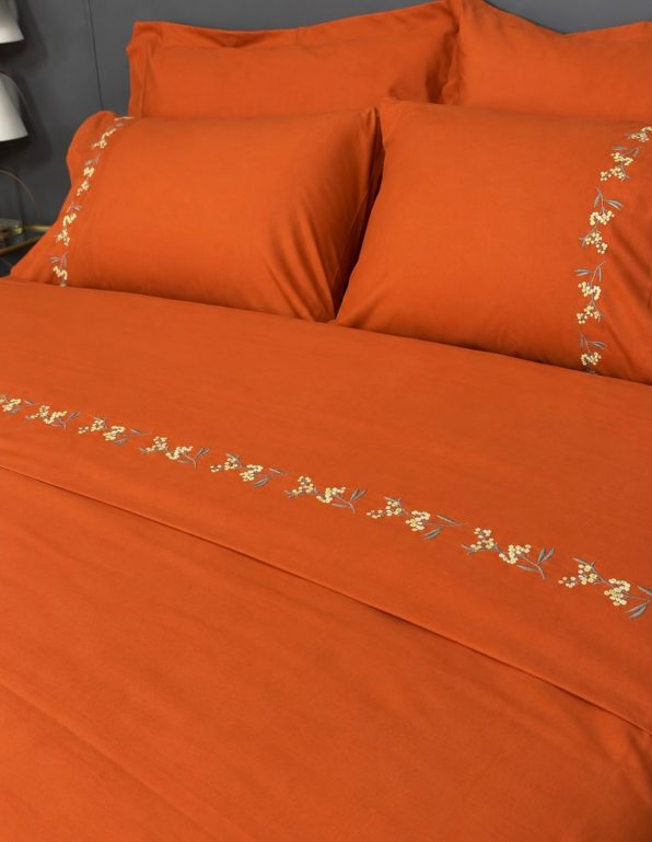 havlucu memet-2998